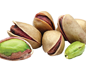 Iranian Pistachio